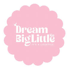 Dreambiglittleco Coupons and Promo Code